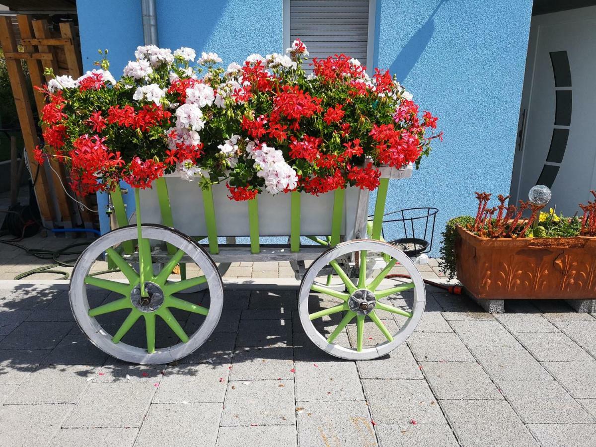 Storchennest Apartamento Bad Säckingen Exterior foto